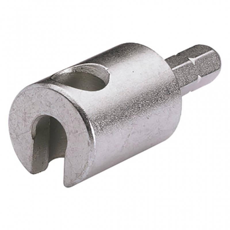 ta_0062004_shop.jpg
